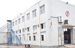 廣告氣球可以適合不同企業(yè)或產品服務